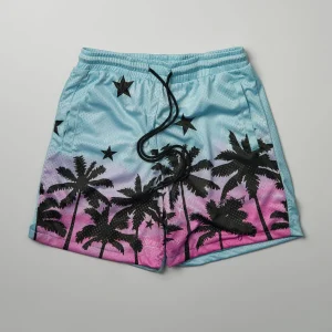 Cheap Blessings Mesh Shorts Shop All Bottoms | Shorts