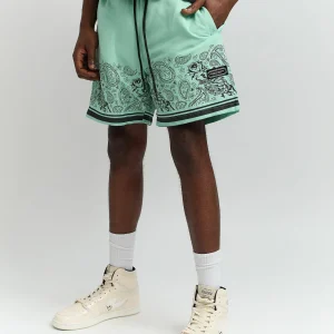 Best Sale Luca Shorts - Olive Green Shorts | Shop All Bottoms